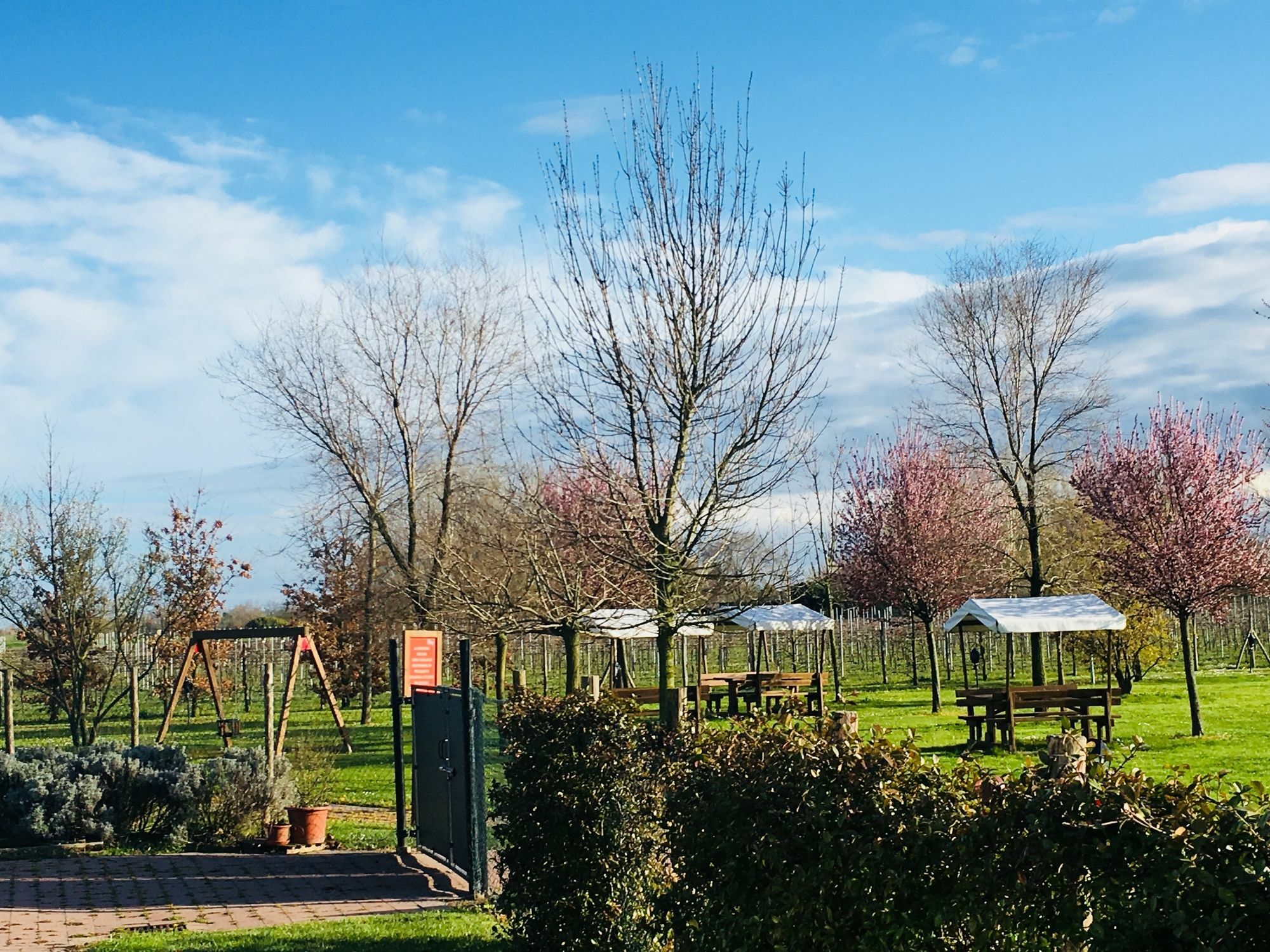 Carpe Diem Countryhouse Cesarolo Exteriér fotografie